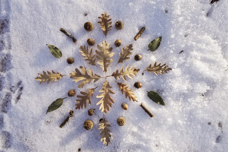 El Proceso Creativo: Donde Nacen las Ideas que Transforman