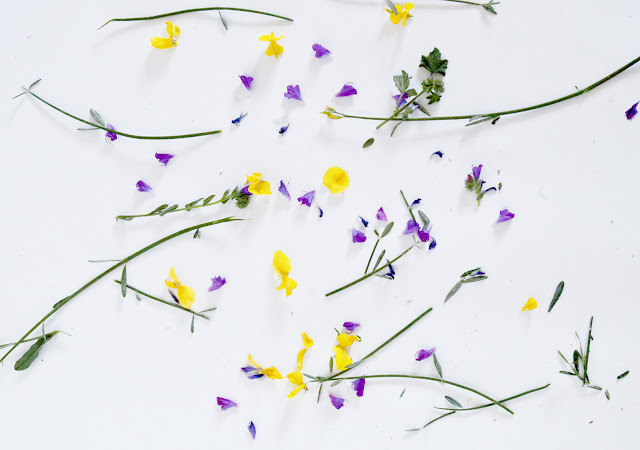 IMAGINACIÓN: la materia prima de todo lo bello